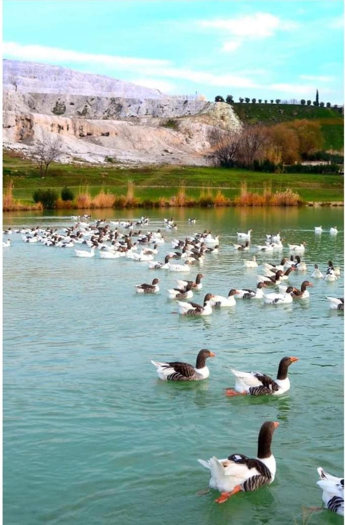Hotel Akapella Pamukkale Exterior foto